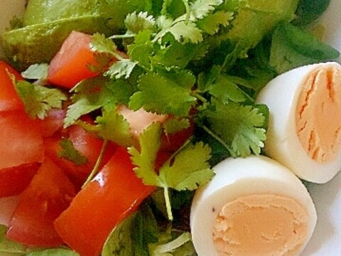 アボカド、トマト、卵のコリアンダーサラダ